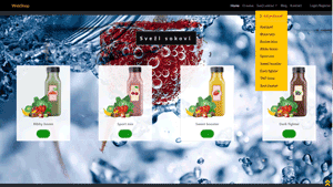 Igor Stojcic - Web design development